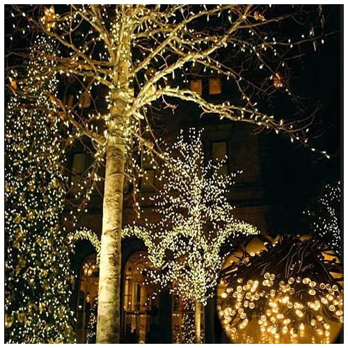 Firefly Solar mini LED Christmas lights on String(D0102HEYY8W.)