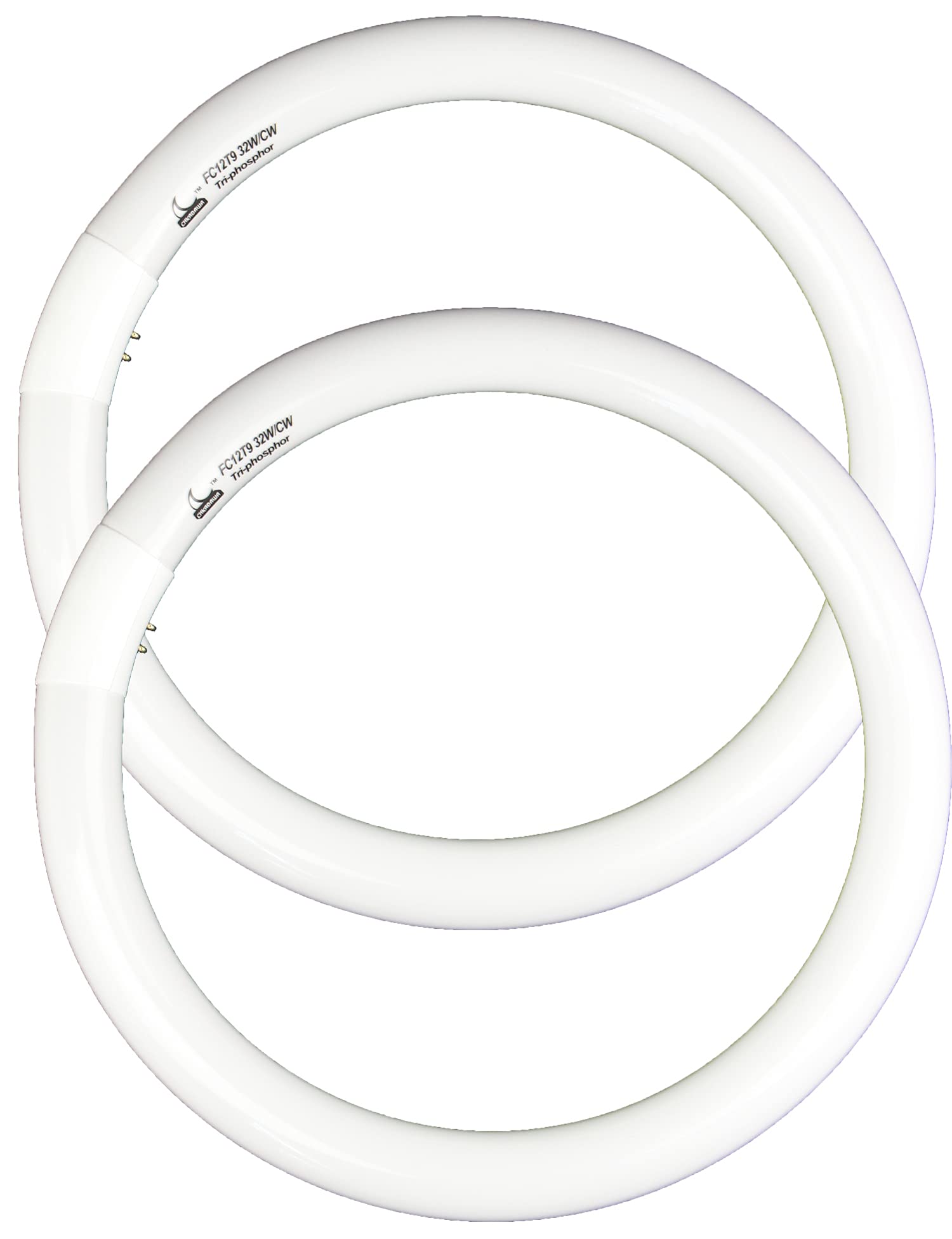 CHKADAWA FC12T9/CW 32W Cool White Round Fluorescent Light Bulb, 12 Inch T9 32 Watts Circular Bulbs, 12 FCL 32 Circline Bulb 41