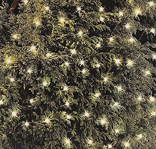 Cole & Bright 6741-100Count Solar Led String Lights