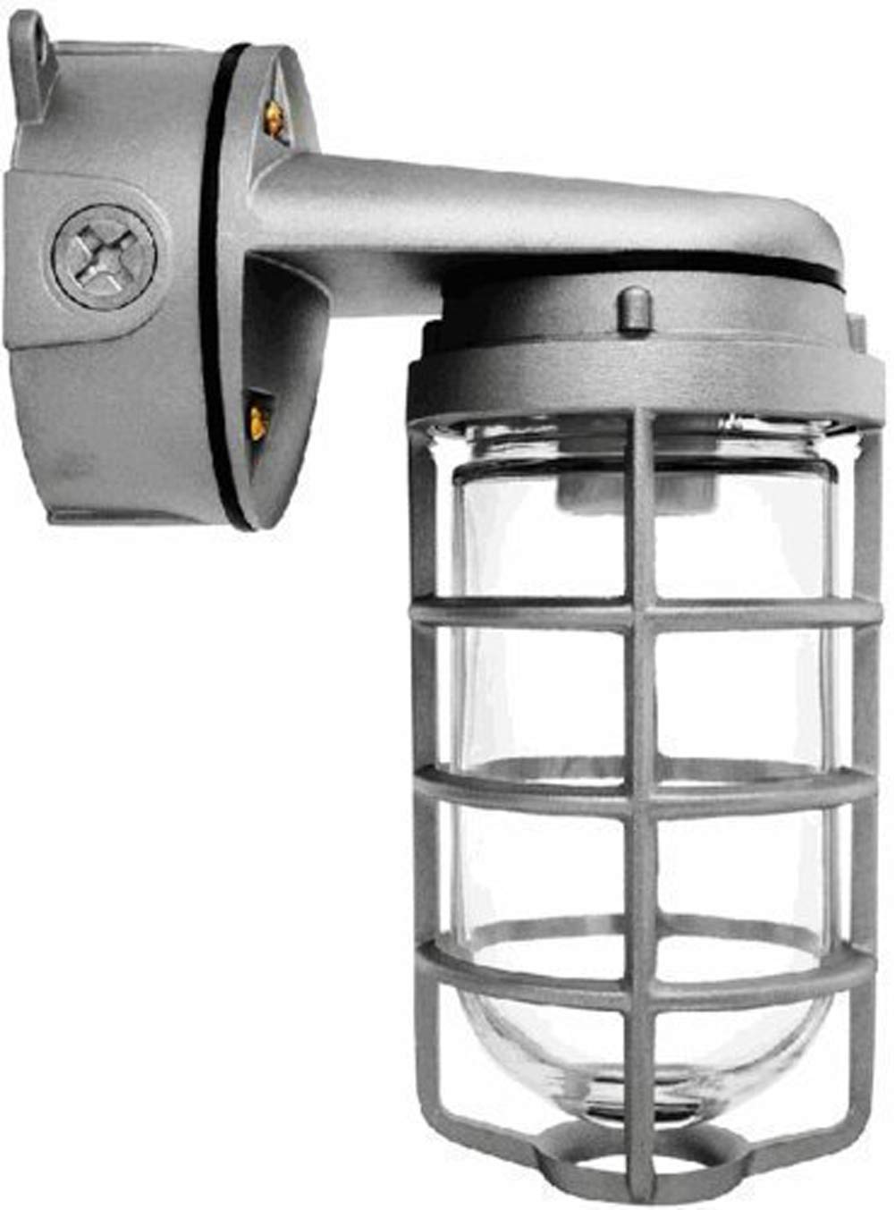 RAB Lighting VXBR100DG Vaporproof Wall Bracket, Glass Globe, Cast Guard, 150W, Aluminum, Multi Color