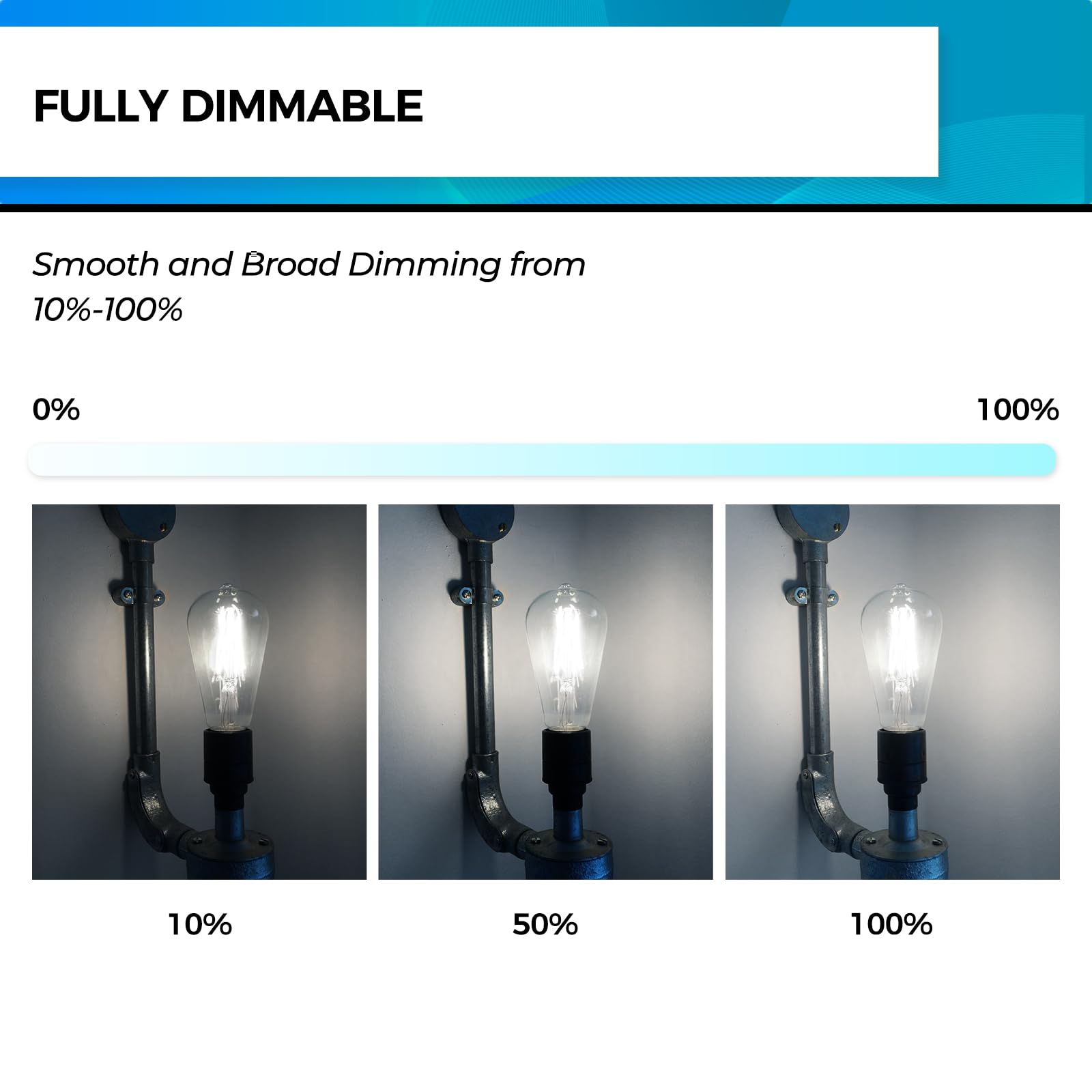 Hizashi LED Edison Bulbs, Dimmable E26, 6W Equivalent to 60W, 700 Lumens, Daylight 5000K, Clear Glass, Pack of