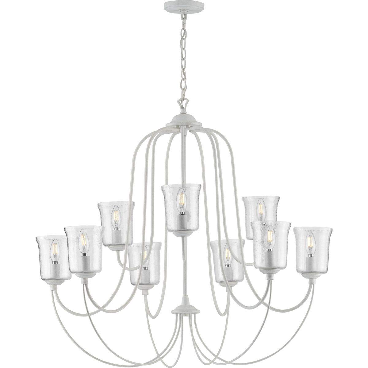 Progress Lighting Bowman Collection 9-Light Clear Chiseled Glass Coastal Chandelier Light Cottage White