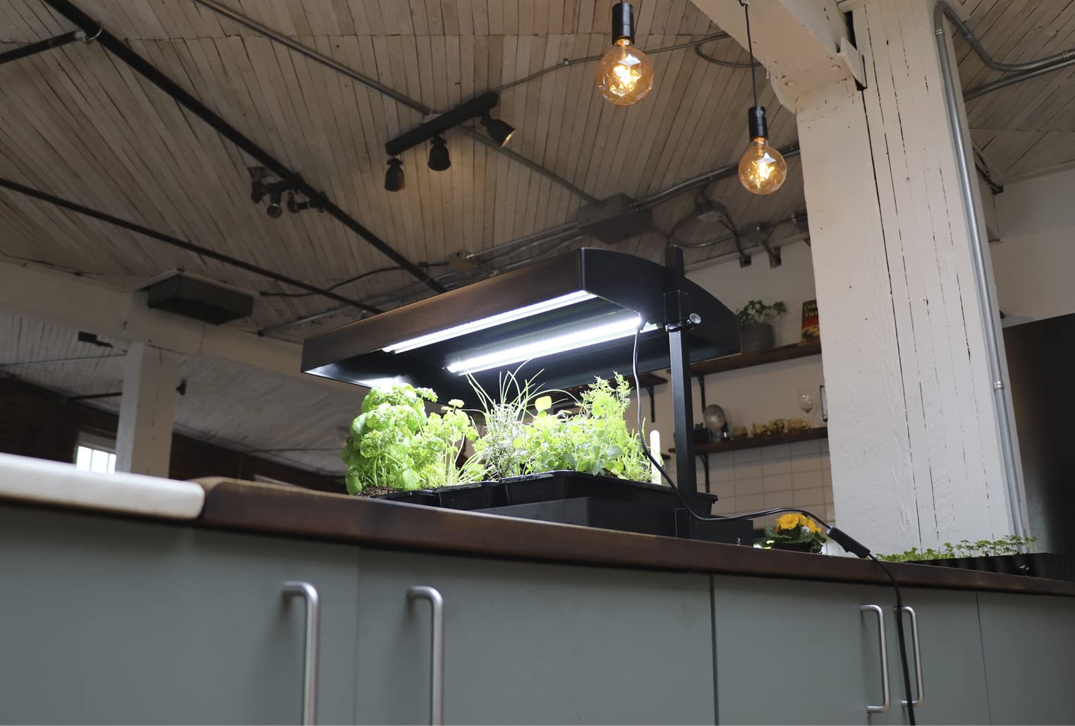 Sunblaster Sl1600220 Growlight Garden-T5 Bulbs Included, 1 Count (Pack Of 1), Black