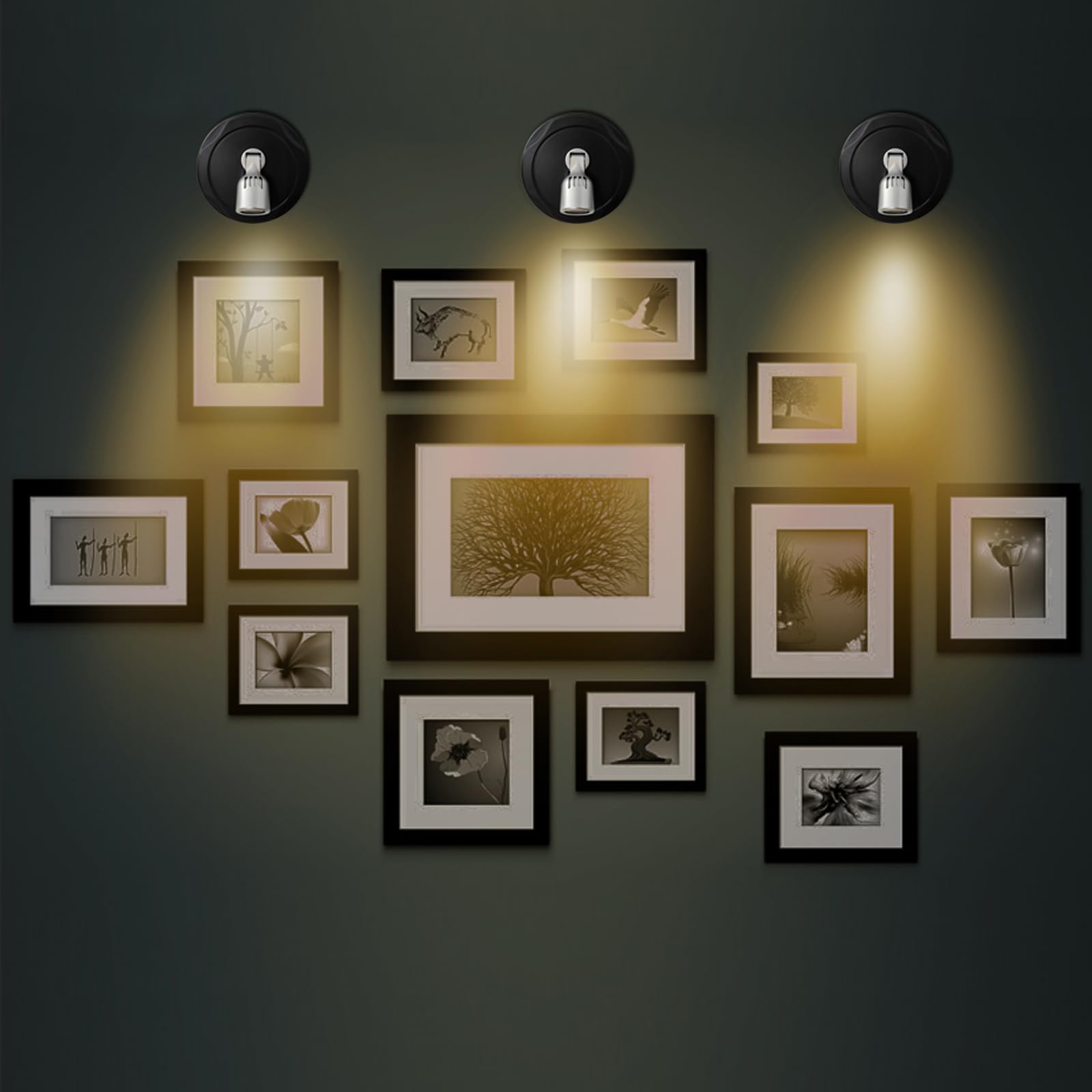 Bergustch Battery Powered Led Spotlight, Wall Picture Lights, Indoor Uplighting, Puck Lights With Remote, Plants Spot Light, Dis