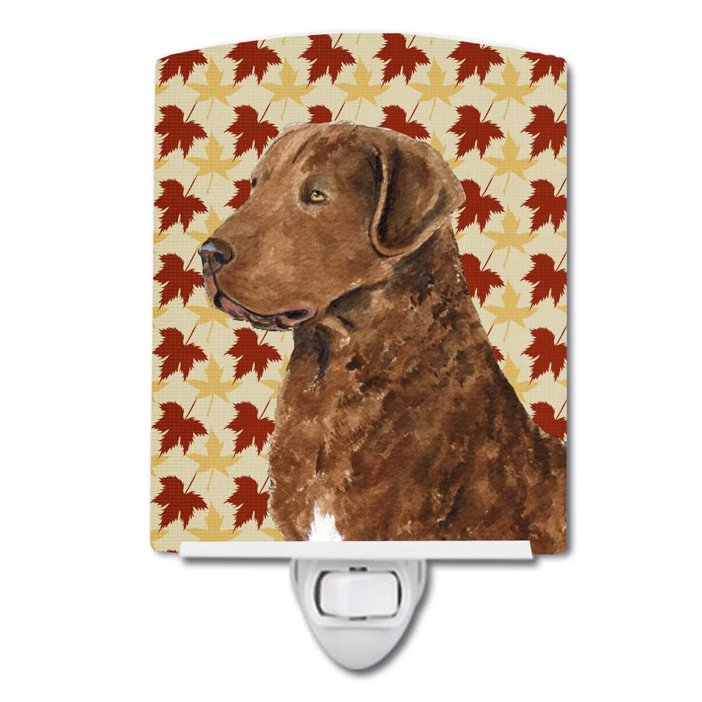 Carolines Treasures Night Light, Chesapeake Bay Retriever, Ceramic, 6x4x3in, Multicolor, Model SS4325CNL