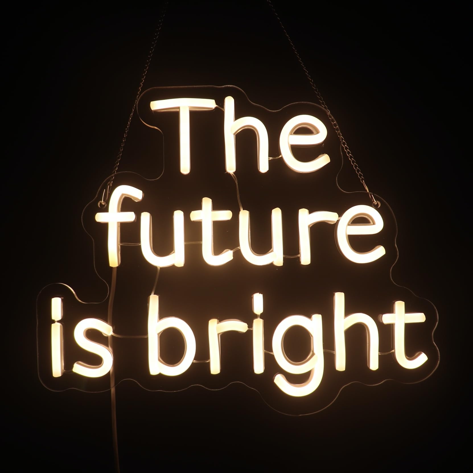 The Future Is Bright Neon Sign  Positive Quotes Decorative Neon Lights For Home Room Wall Decor  Office Wall Decor Neon Light Sign  Christmas Birthday Gift Thanksgiving Gift(Warm White)