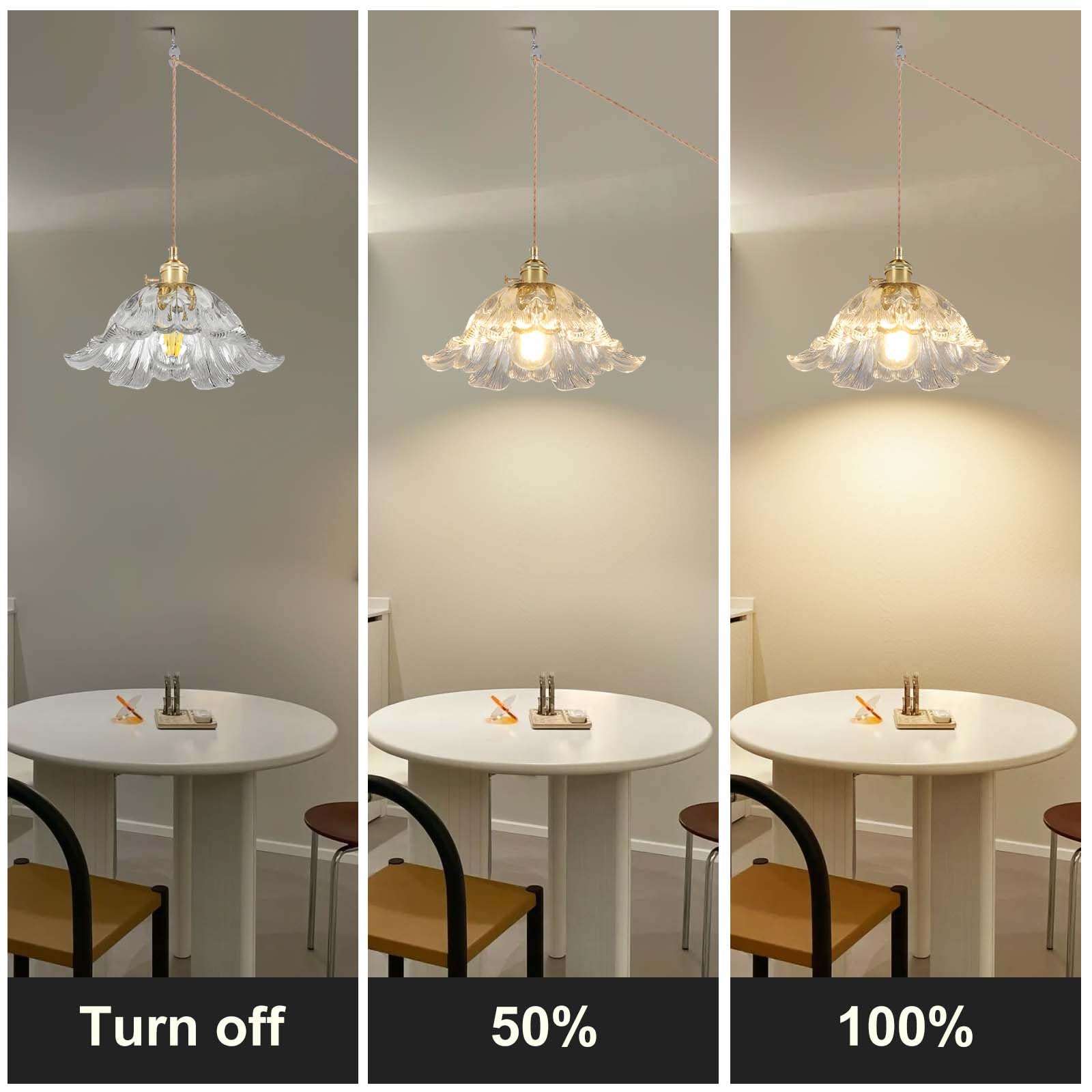 Loiogohot Plug In Pendant Light Fixtures Hanging Light Fixture Flower Transparent Glass Pendant Light 11 Inch E26 Pendant Lighting For Kitchen Island  Bedroom  Dining Room  Living Room