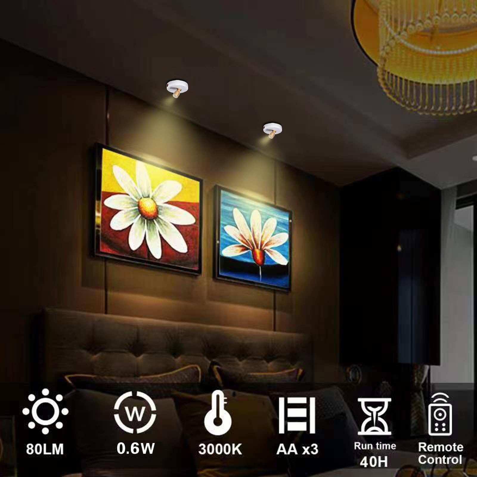 HAMVIDNE LED Spotlight - Battery Powered Picture Lights, Remote Control, White+G, Model HA-WG-2+2, 2pcs for Artwork Display