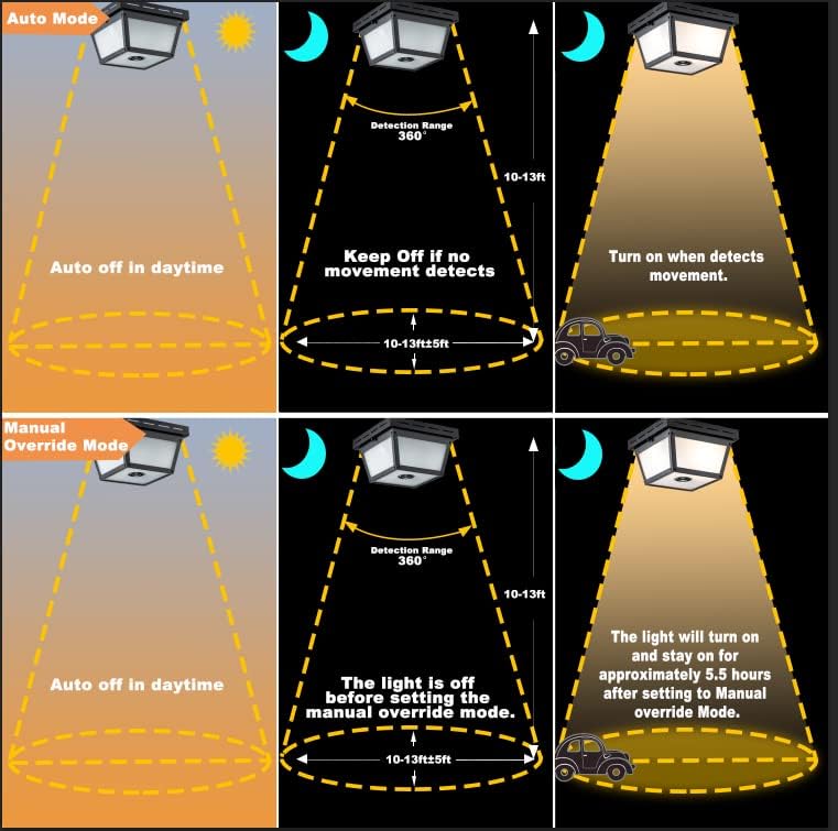 C Cattleya 2-Light Outdoor Motion Sensor Ceiling Light Fixture, Black With Textured Glass