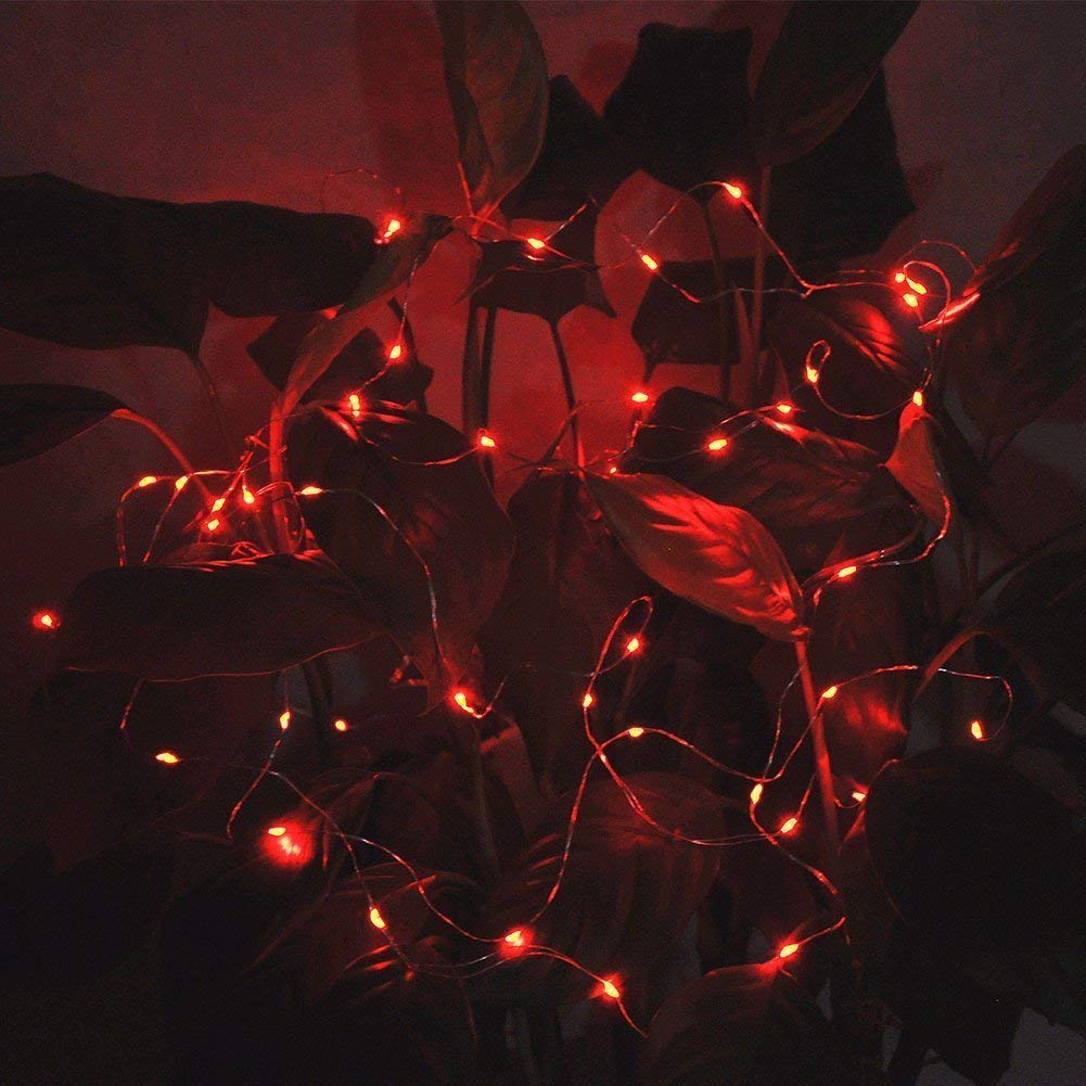 NiniTe LIGHTS 24 Pack Fairy Lights 6.6ft 20 LED Copper String Lights Red for Wedding Party Festival Halloween Christmas