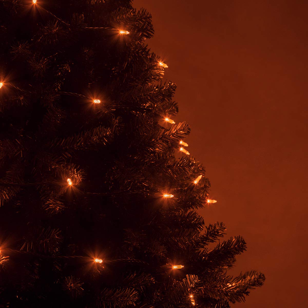 Wintergreen Lighting 50 T5 LED Mini Lights, 25.5 ft Green Wire, Amber, Model IOS-2-50, Indoor/Outdoor, Commercial Grade