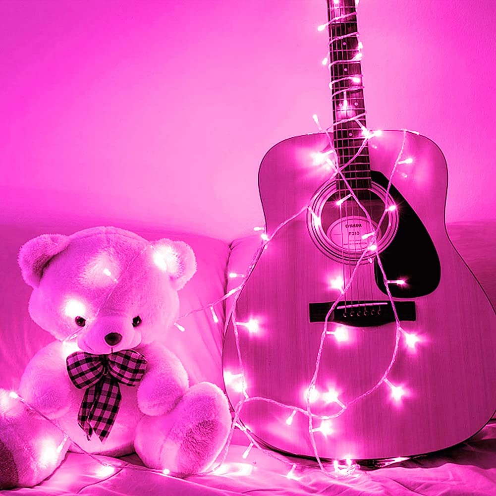 FULLBELL Fairy Lights Outdoor String Lights 33ft 100 LED Pink Transparent Wire Model FLEDTKSL10MWW-PI