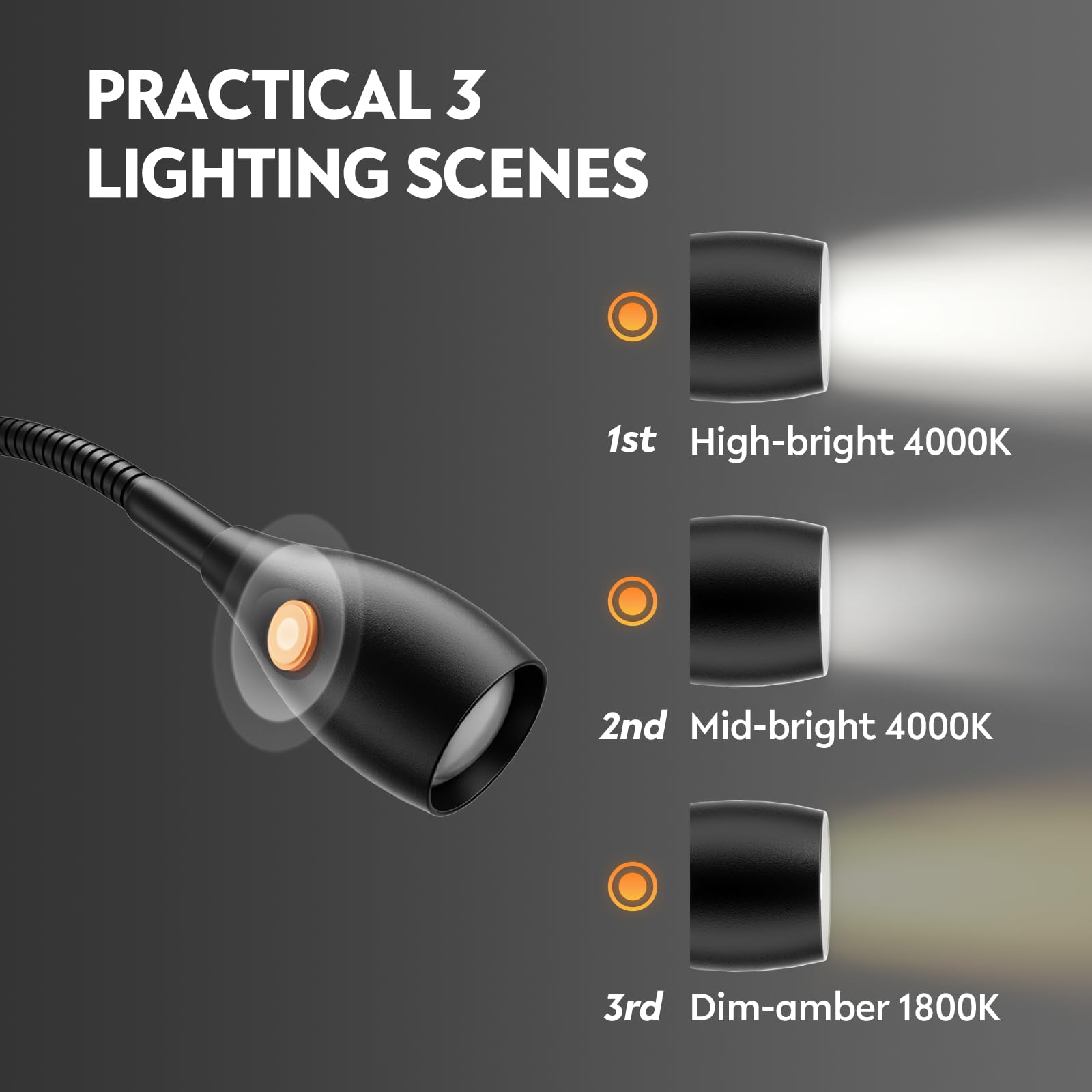 acegoo Wall Mounted Reading Light, Flexible Gooseneck, USB Powered, CRI 98+, 4000K LED, Black Head Switch, Model ACE-H-RL-BH-N