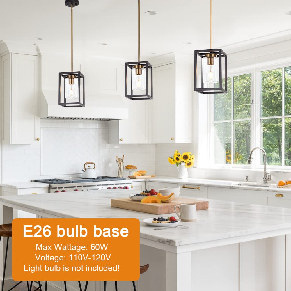 Vinluz 1-Light Mini Lantern Pendant Light,Black And Brushed Brass Finish Farmhouse Chandelier With Clear Glass Shade Foyer Cage