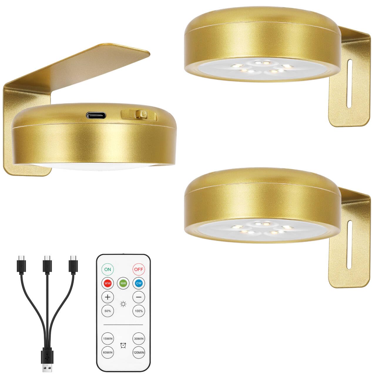 Arixinks Picture Light - Wireless Art Display with Remote, 2500mAh Battery, 3 Lighting Colors, Gold, Model EK