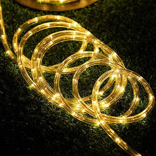 HuiZhen 100 Feet 720 LED Rope Lights,2-Wire Low Voltage Waterproof Rope Lights Outdoor,Indoor Background Lighting Idear for Tree