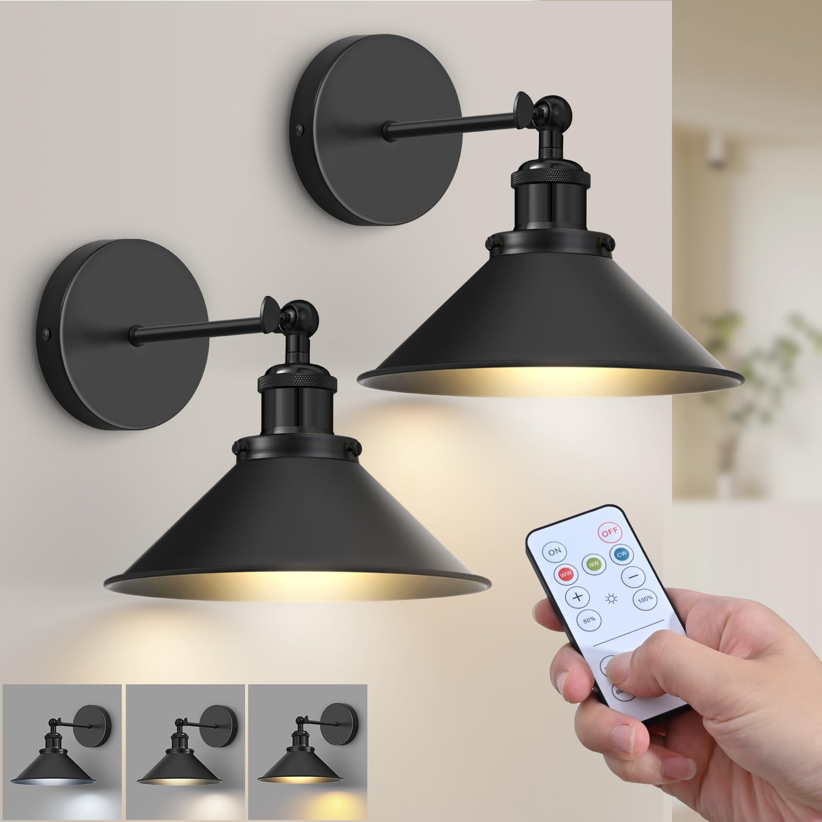 ZornLots Battery Operated Wall Sconce Set of 2, Vintage Dimmable LED Lights, Black, Metal, Model FG0403