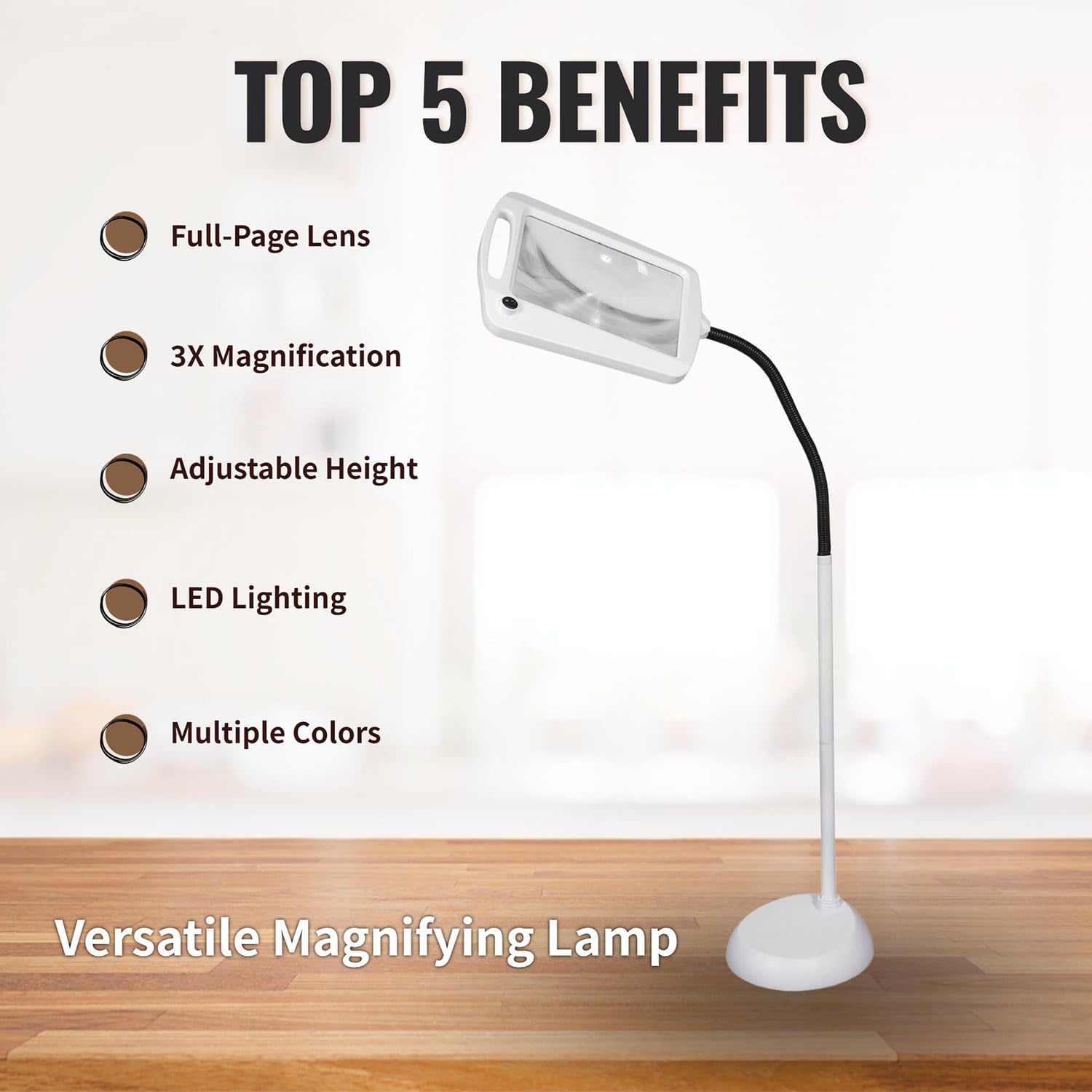 daylight24 Full Page Magnifier LED Floor Lamp, 8x10", Black, Model 402039-04, Plastic Construction