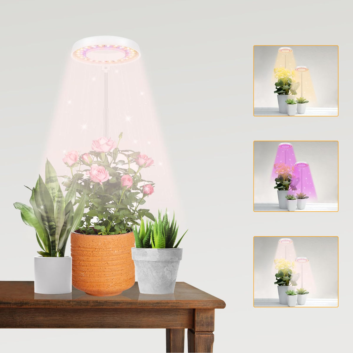 mini plant grow light GooingTop LED Grow Light Halo Plant Lamp, White, 1 Count, Upgrade Timer 4/8/12/18 Hrs, Ideal for Indoor Bonsai & Succulents