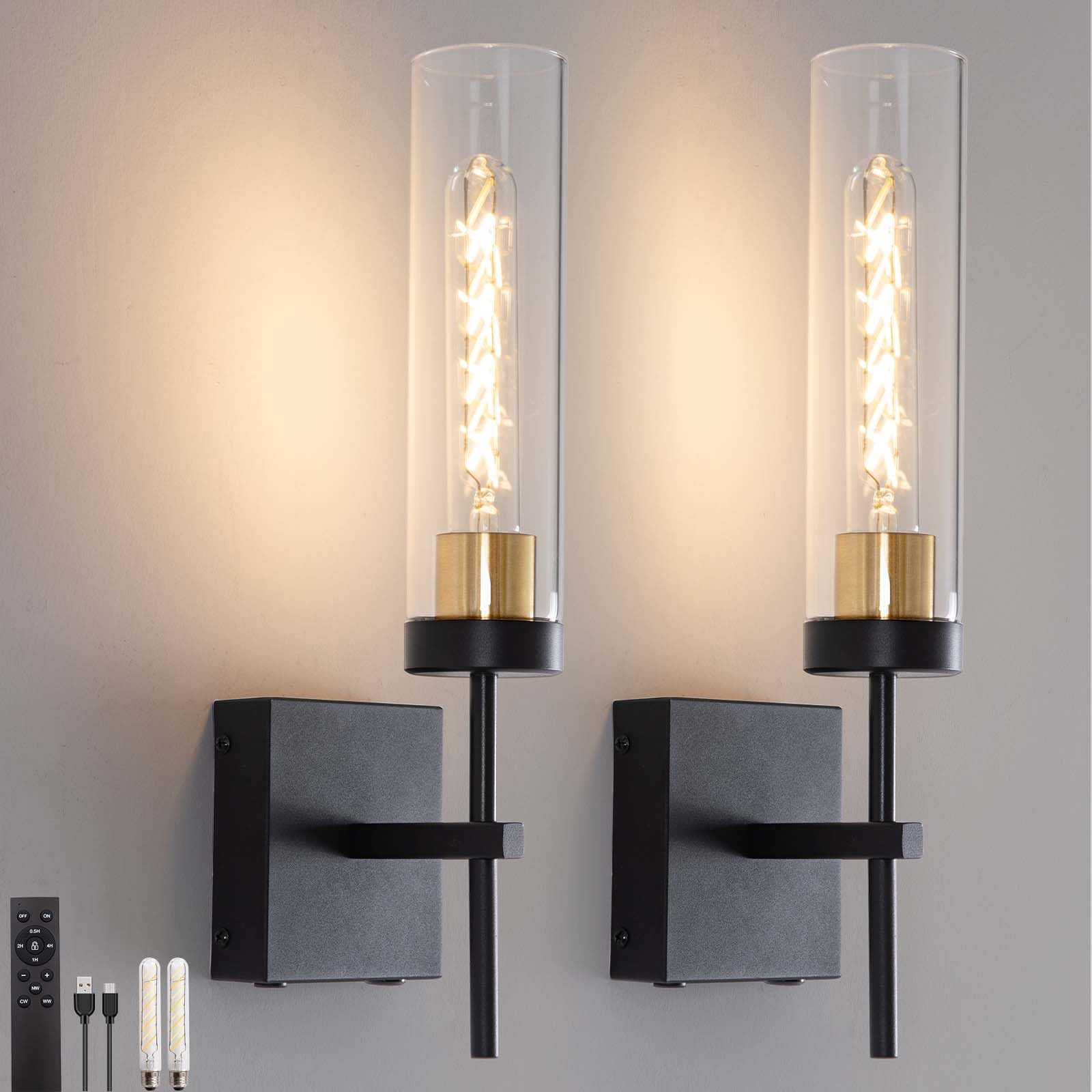 Loiogohot Wall Sconce - Battery Operated, 8000mAh, 100 Hours, Infinitely Dimmable, Dual Color Temperature, Black & Gold, Model WL-BN