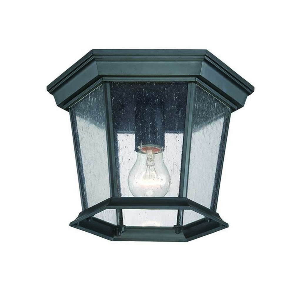Acclaim Lighting Dover Collection 1-Light Ceiling Mount Outdoor Light Fixture, Matte Black, Glass, Model 5275BK/SD