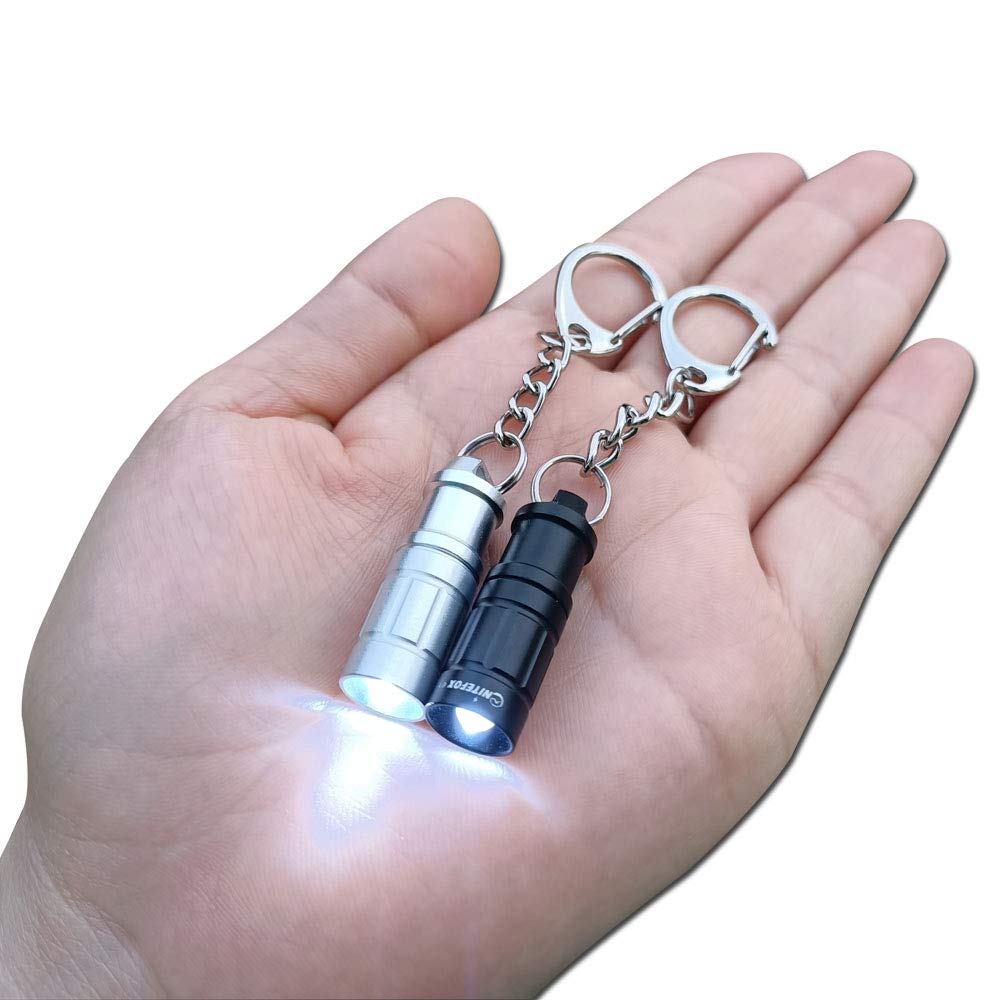 2 Pack Smallest Keychain Flashlight Micro Mini Small Tiny Led Flashlight Bright Key Ring Light Torch For Edc Emergency Dog Walki