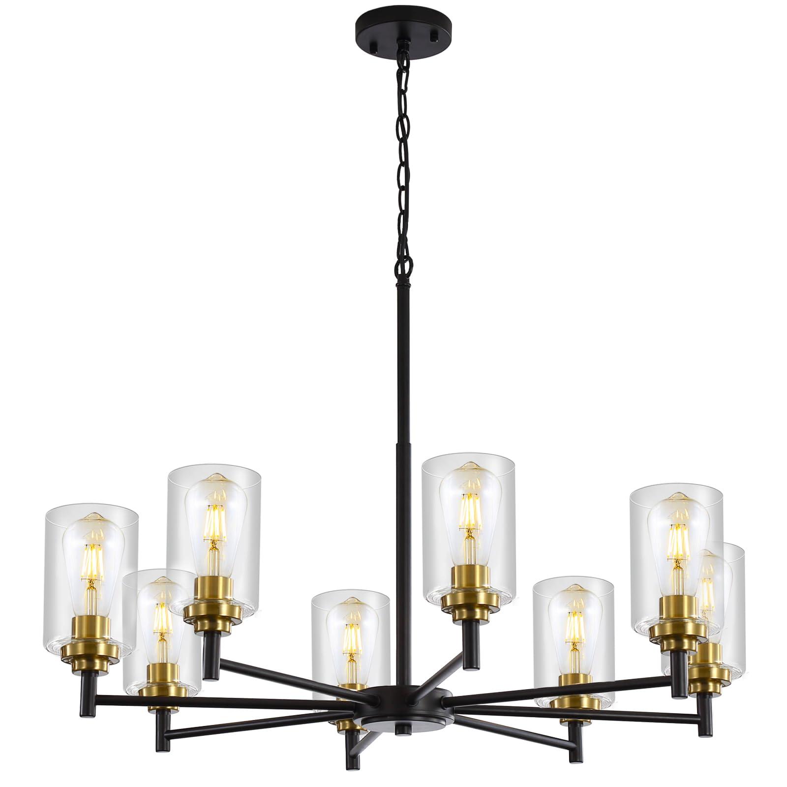 9MMML 8 Lights Black and Gold Chandelier  Modern Glass Ceiling Chandelier Light Fixture  Large Ceiling Hanging Light for Dining Room  Living Room  Bedroom  Kitchen  Over Table  Foyer  E26 Base