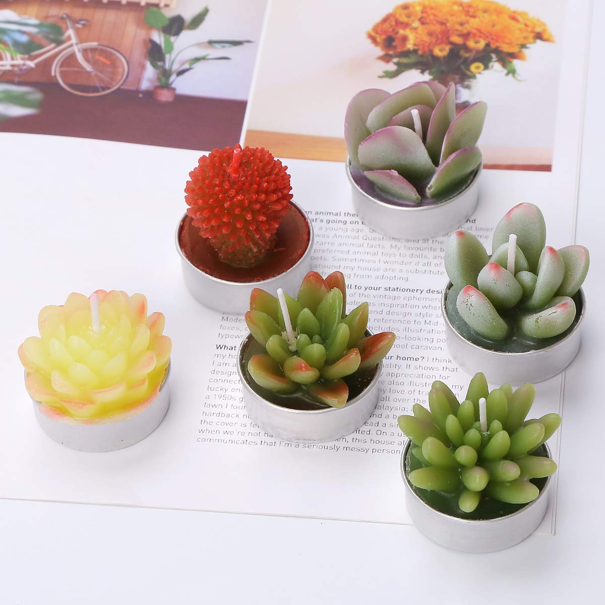 Wangmingtu Succulent Cactus Tea Light Candles Unscented 6Pcs Assorted For Birthday Party Favors Wedding Decor Gift Sets