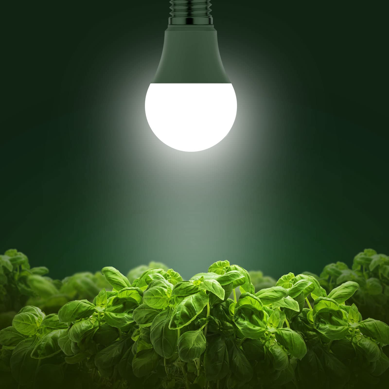 Briignite Grow Light Bulbs, Full Spectrum LED A19, 11W Equivalent, E26 Base, 6 Pack, Plastic