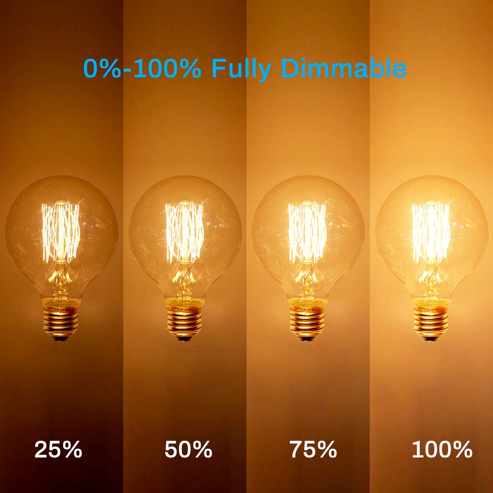 runquiz G25 Vintage Light Bulbs, 60W, 2100K Warm White, Amber Glass, Dimmable, 6-Pack, E26 Base, 240 Lumens