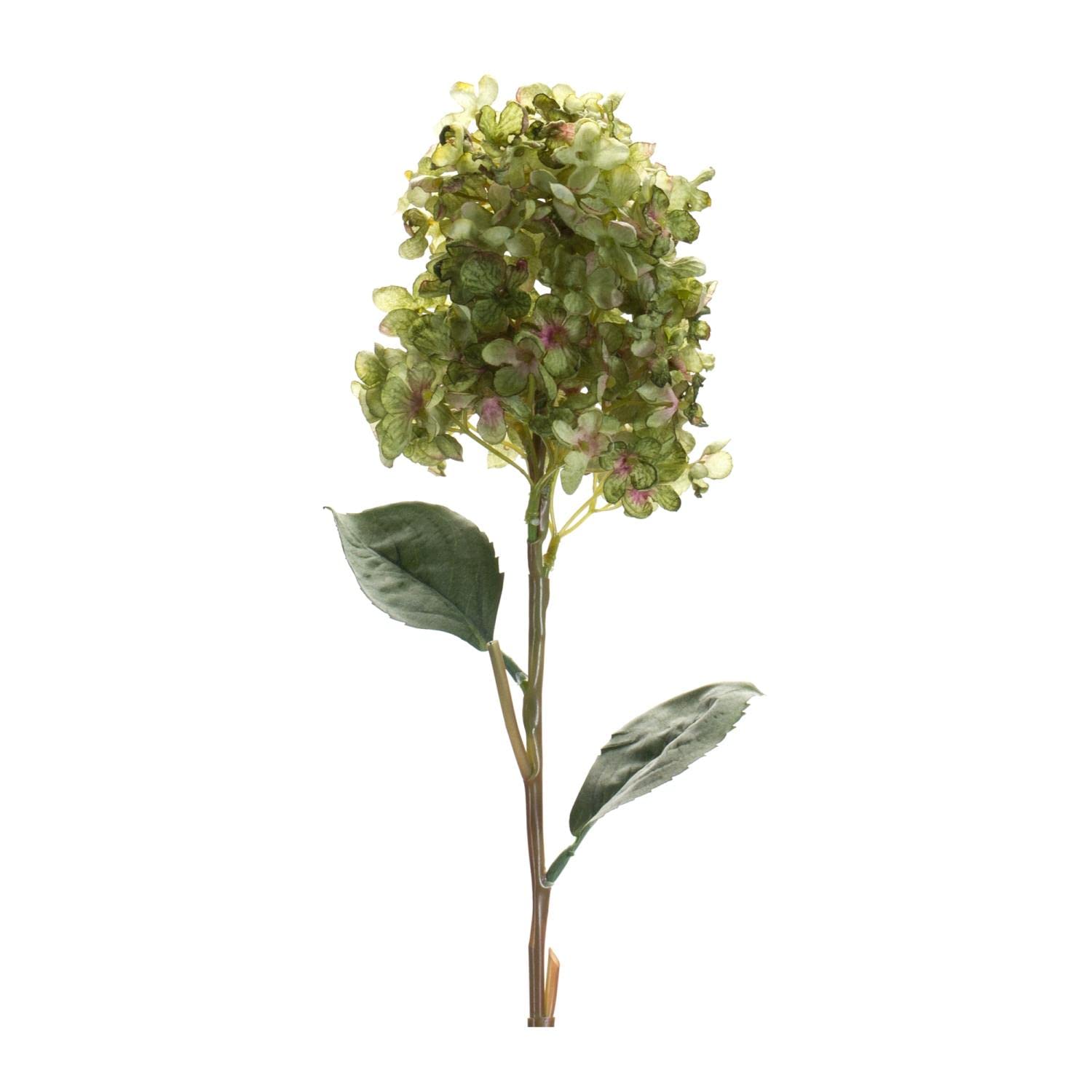 Melrose Set of 6 Polyester Hydrangea Stem with Green Finish 85824DS
