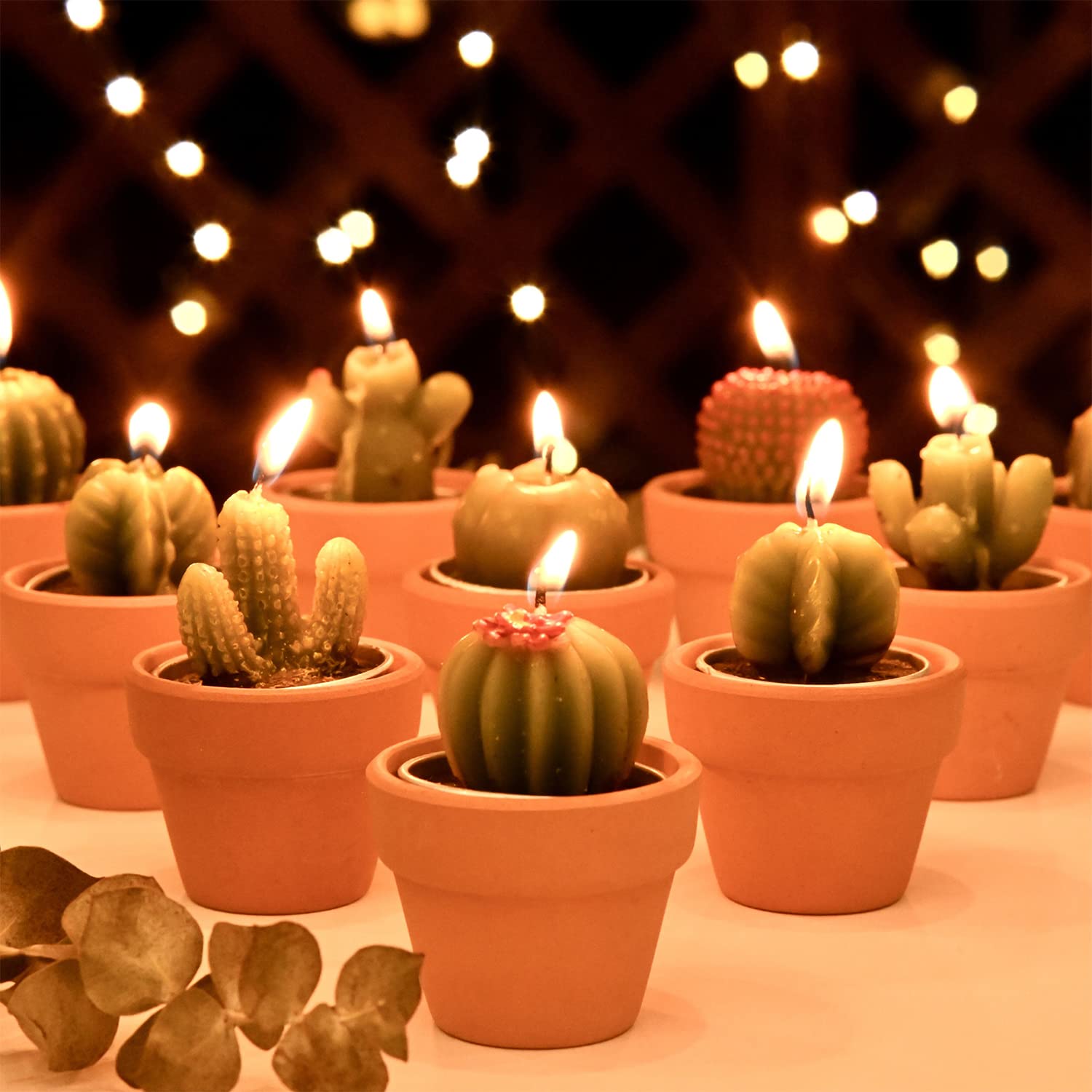 Juans Moment 12pcs Cactus Tealight Candles Paraffin Wax Green VES1690 Bridal Shower Gifts Party Decorations