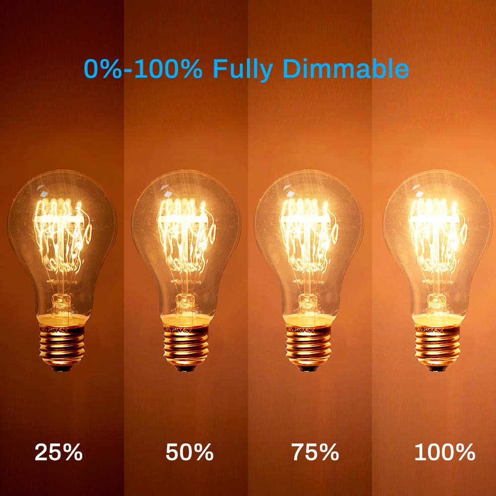 NEW LIGHTS 4-Pack Dimmable Edison Light Bulbs, 60W A19 Vintage, Warm White 2100K, Amber Glass, 240 Lumens