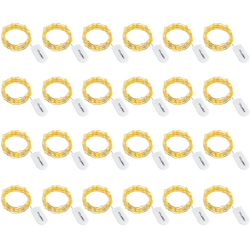 Cylapex Pack Of 24 Fairy Lights String Battery Operated Fairy Lights, 3.3Ft 20 Leds Halloween Lights Silver Coated Copper Wire Lights For Diy Decor Christmas Decoration Costume Warm White