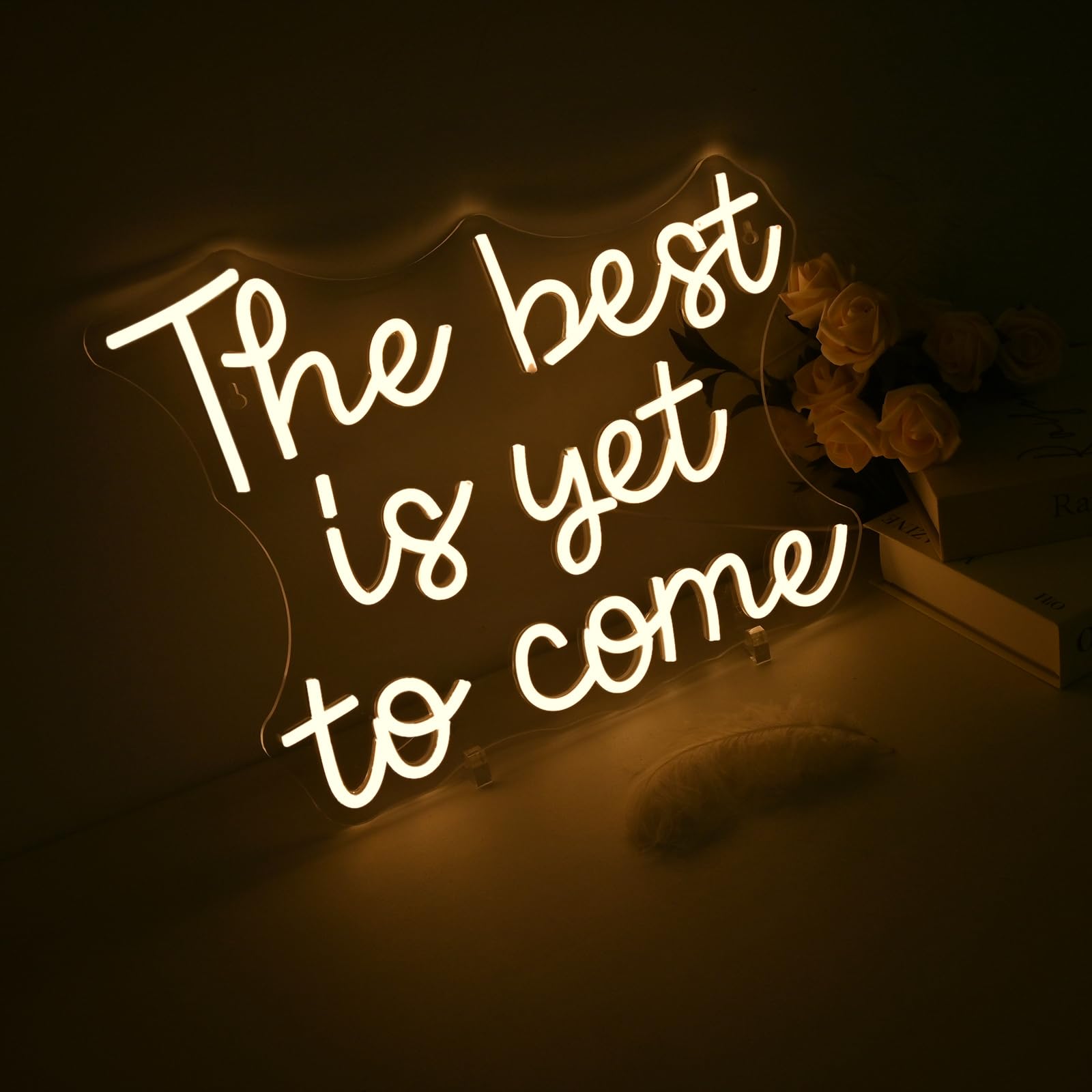 FAXFSIGN Neon Sign LED Wall Decor Warm Light 12.5x16.5 inches Colorful Model HZ-WX-NL-6166