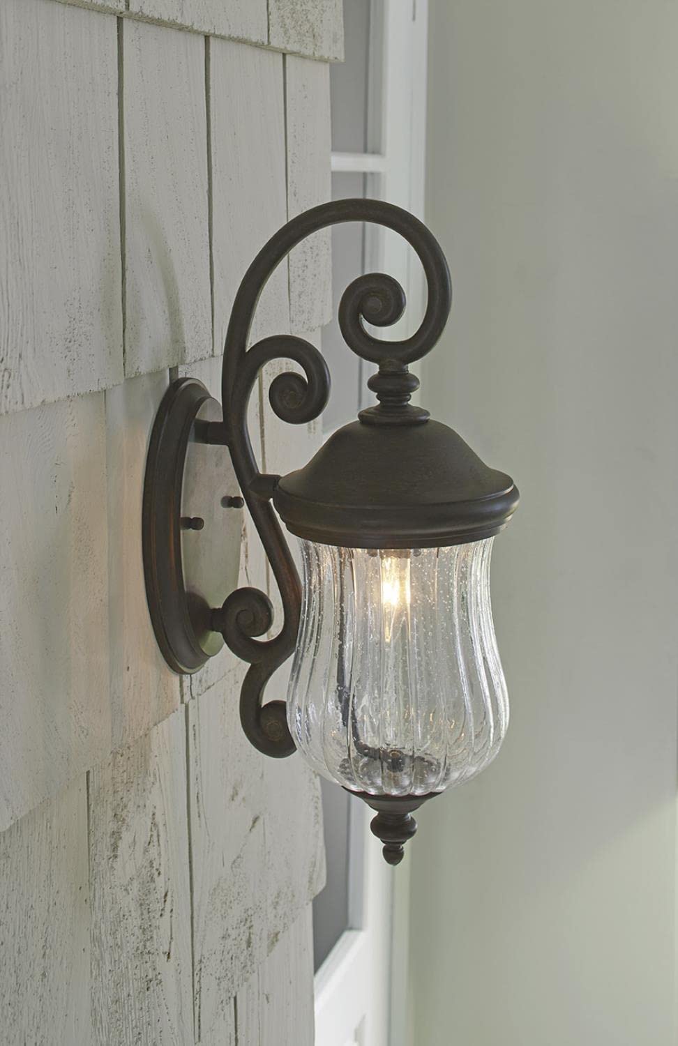 Acclaim Lighting 1-Light Outdoor Wall Lantern, Glass, Black Coral, Model 39702BC, Size 6.75 x 18