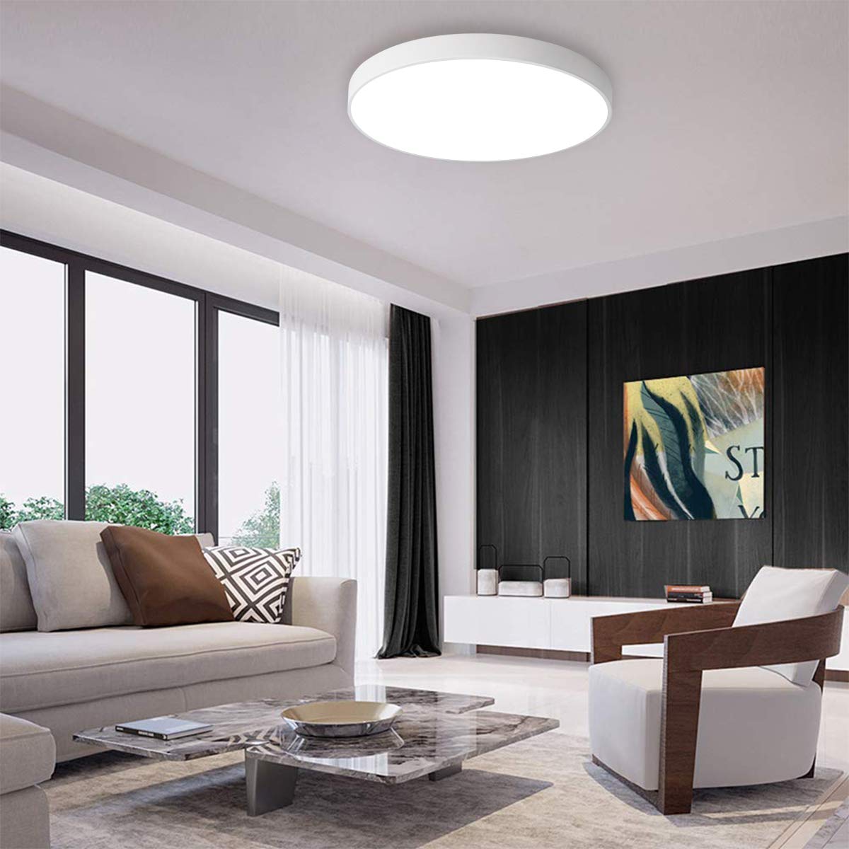 Ganeed Led Ceiling Lights 39W 19.6Inch Modern Ceiling Lamp Flush Mount Lighting Fixture Round 6500K Cool White Ceiling Lighting For Dining Hallway Living Kitchen Bedroom Room