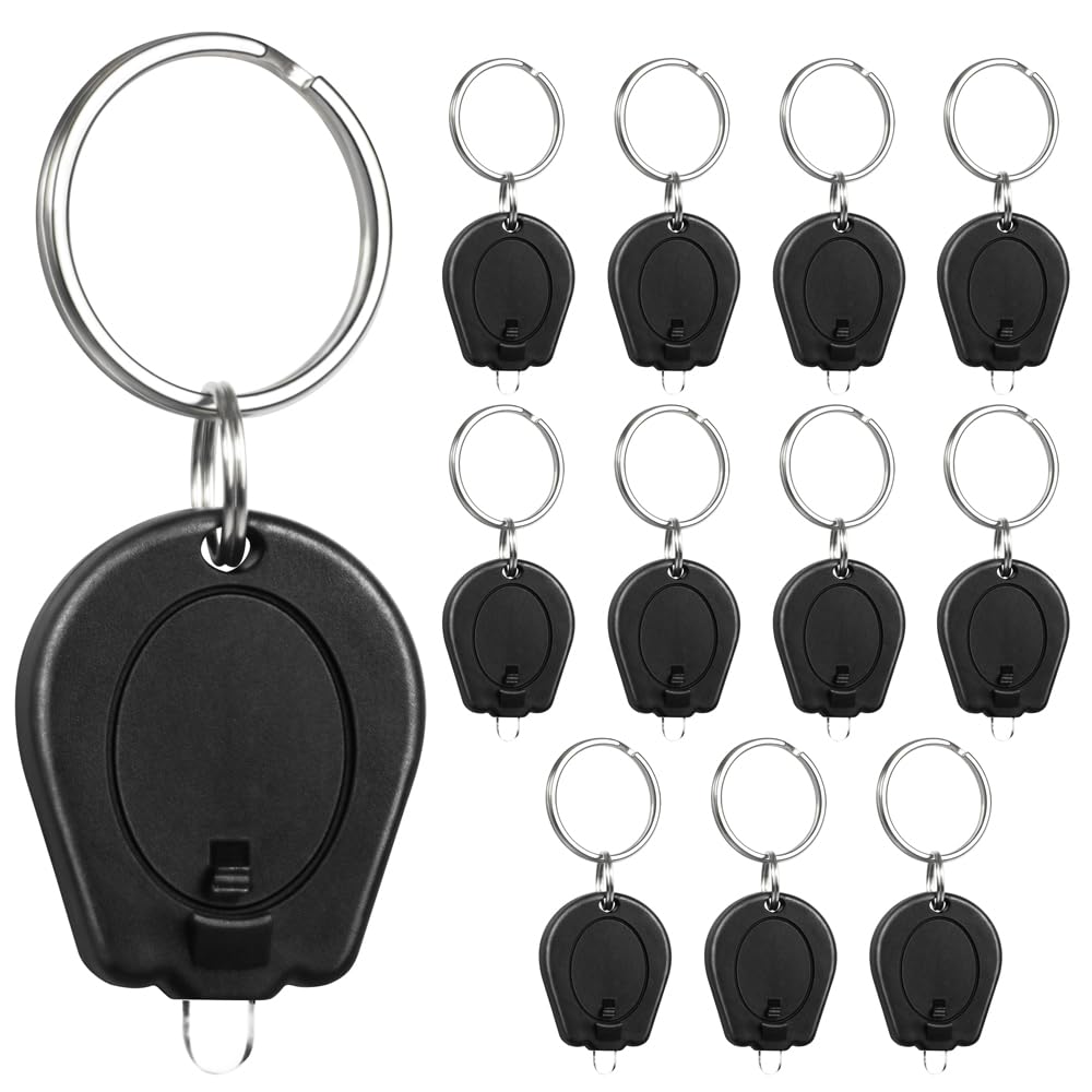 RaySoar 12 Pack Mini LED Keychain Flashlight, Portable Plastic Light, White Light, Model keychain-White-light-BK-12PC-TLP-01