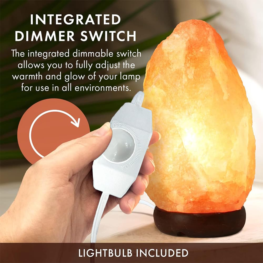 Bubyvv Salt Lamp Cord,Salt Lamp Cord And Base Assembly & Clip For All Himalayan Crystal Salt Lamps -8 Free 15W E12 Base Bulbs For Salt Lamp (White-2P)