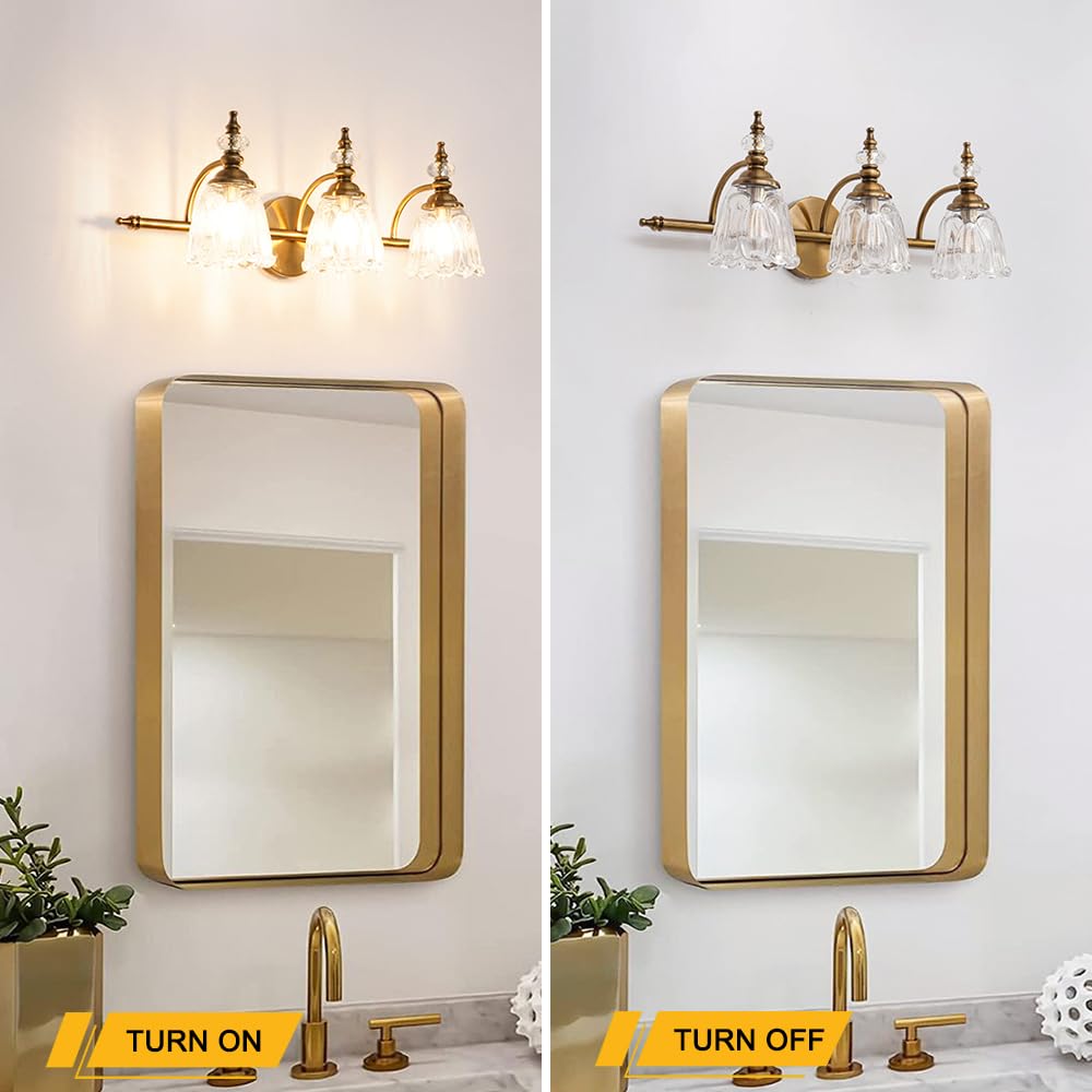 Ditoon Brushed Gold Bathroom Vanity Light, 3 Light Fixture, Flower Glass Shade, Model DX230004V
