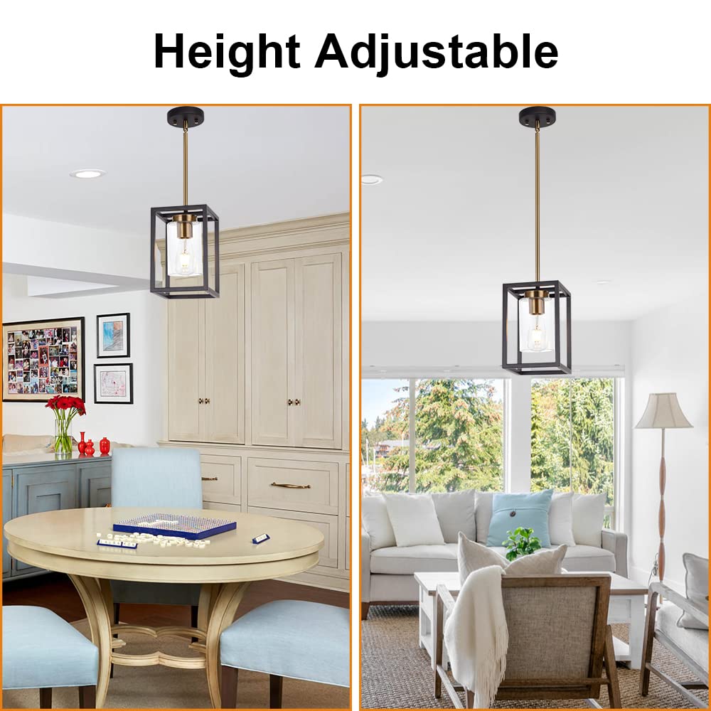 Vinluz 1-Light Mini Lantern Pendant Light,Black And Brushed Brass Finish Farmhouse Chandelier With Clear Glass Shade Foyer Cage