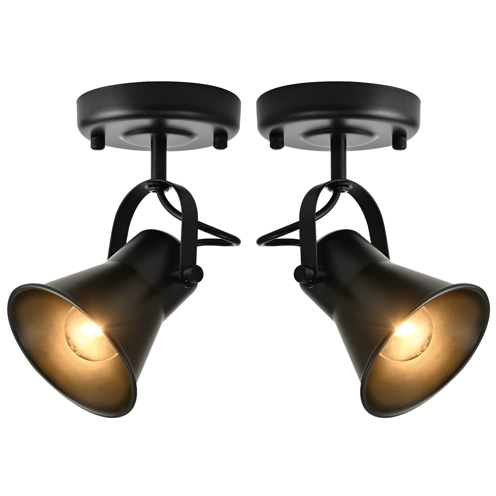 SEEBLEN Track Light Modern Ceiling Spot Lighting Indoor, Adjustable Wall Mount Accent Light,for Bedroom Living Room Hallway Kitc