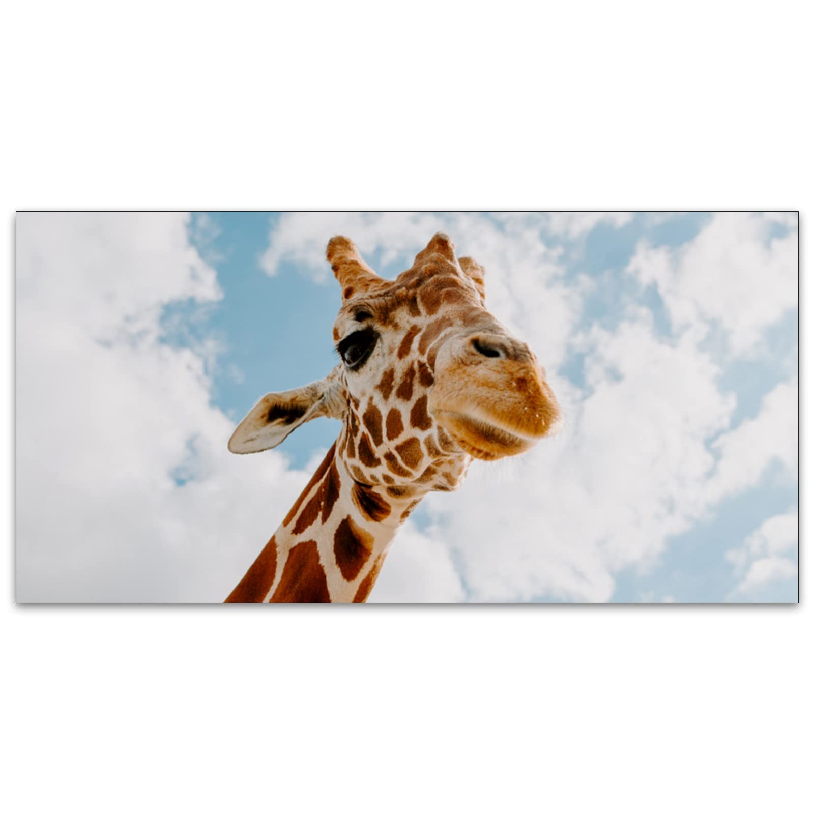 BIROSVSY Fluorescent Light Covers for Classroom - 2x4ft Backlit Film, Giraffe Design