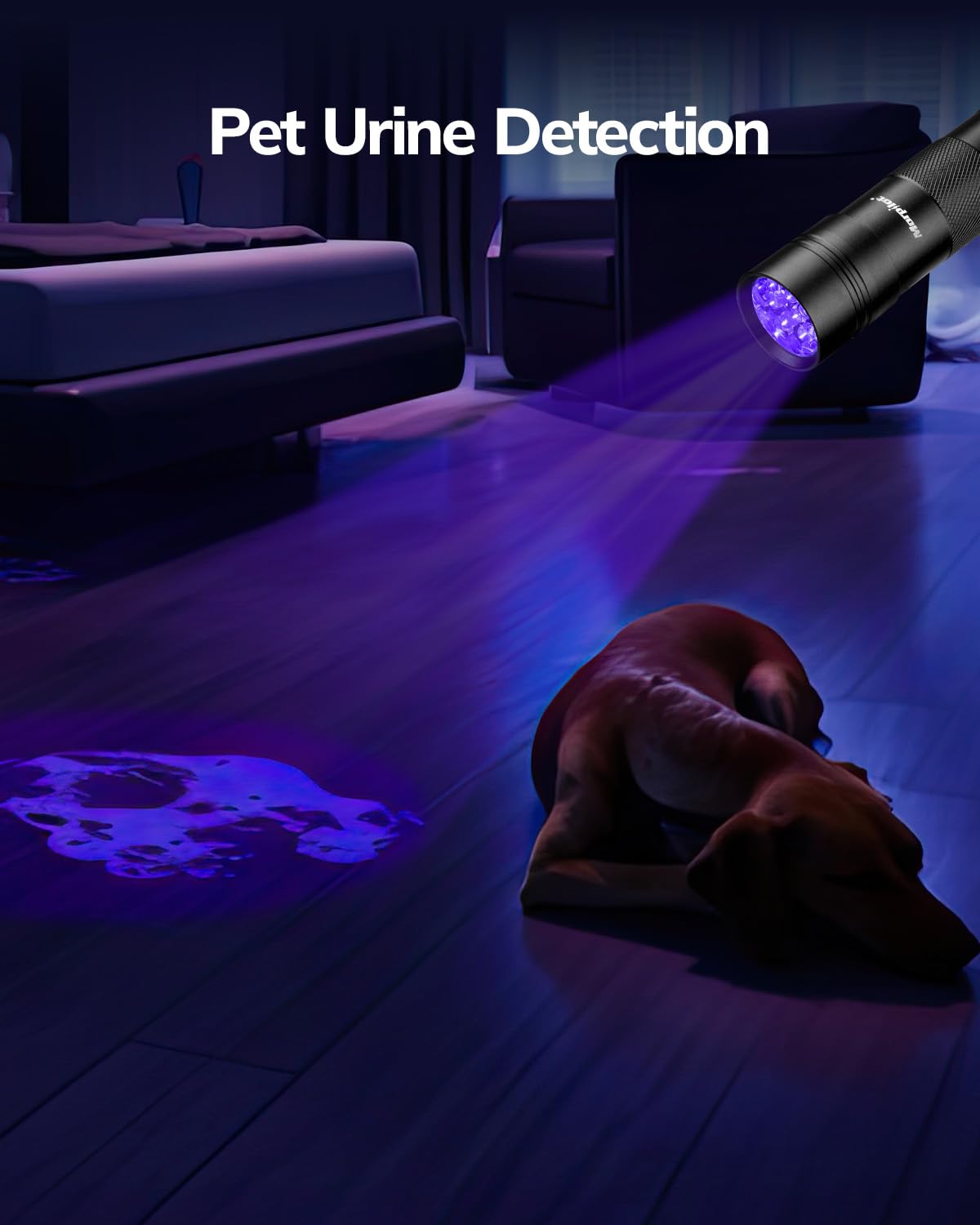 Morpilot Uv Flashlight 2 Pack, 12 Led 395Nm Blacklight, Aluminum, Pet Urine Detector, Mini Torch Light For Stains And Resin Curing