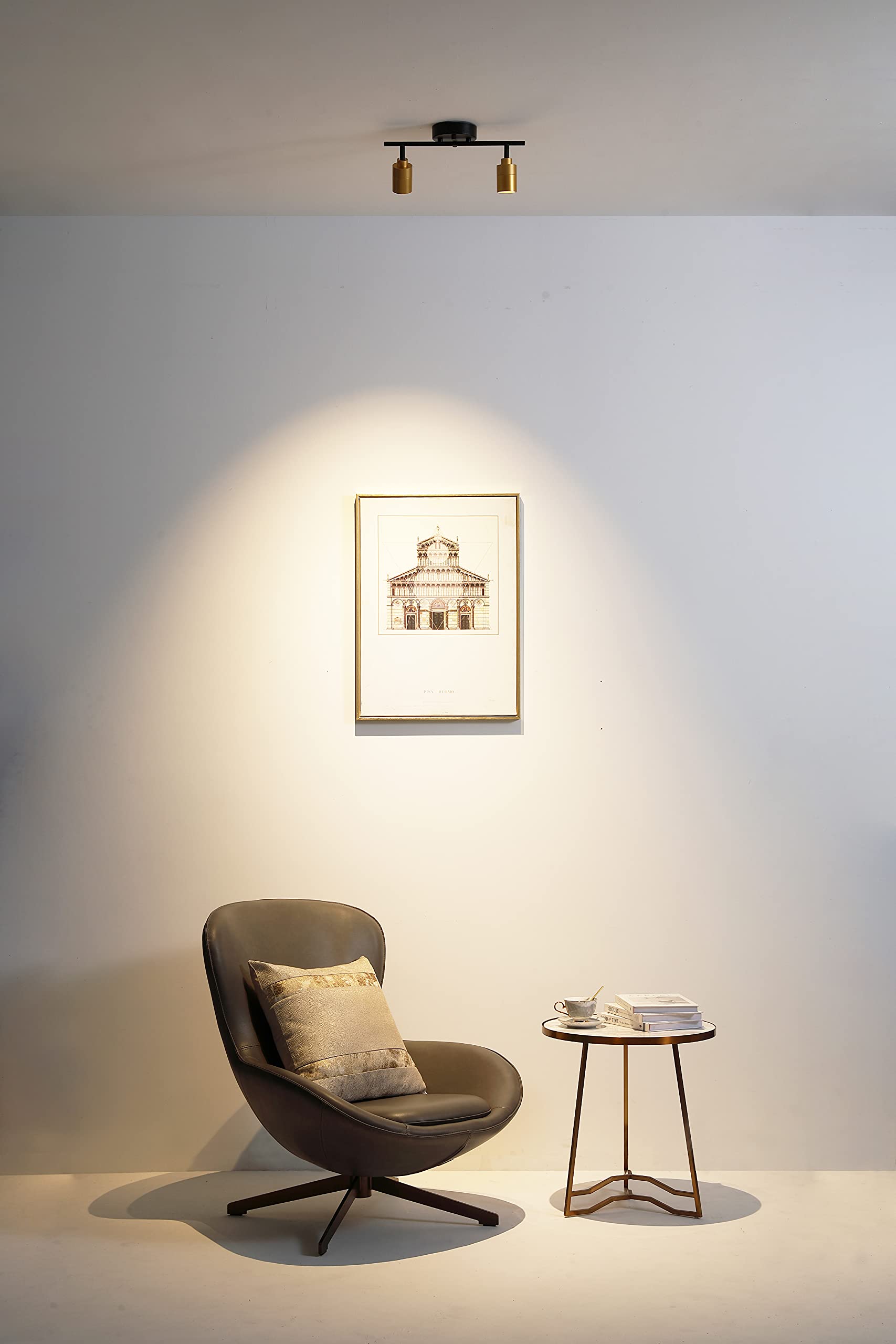 Shura Black & Brass 2-Light Track Light With Adjustable Heads, Integrated Led Bulbs, 15 In. Track Lighting Kit Ceiling Light, 30