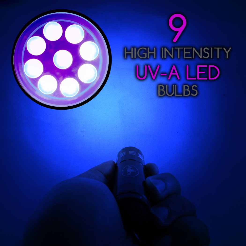 Mydeal Products Visighost Uv Ultraviolet 9 Led Blacklight Pocket Flashlight With Batteries For Paranormal Research On Ghosts, Spirits, Entities And More! Includes Strap And Carabiner Keychain