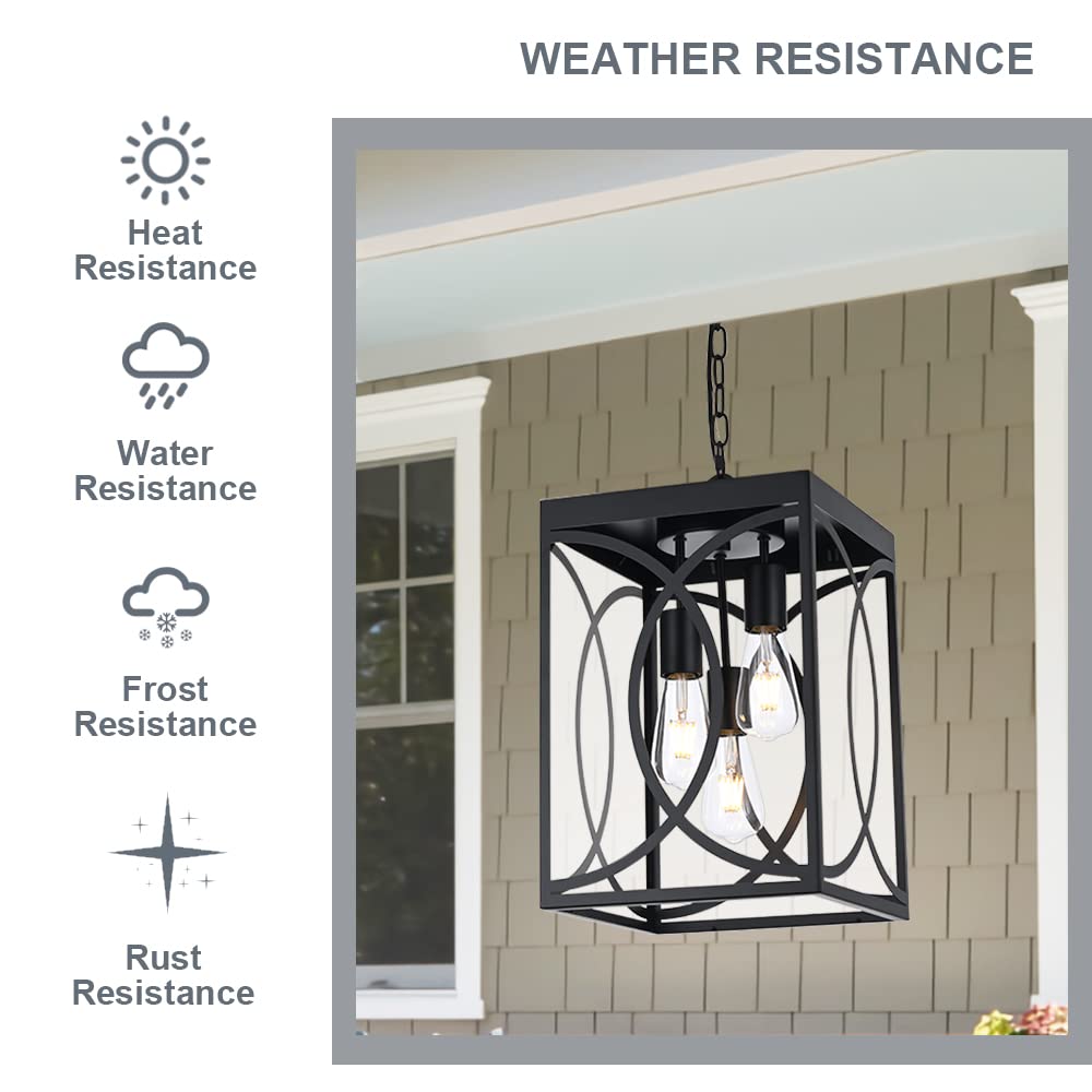 Winshen 3-Light Outdoor Pendant Light Fixture, Black Metal Chandelier With Clear Glass