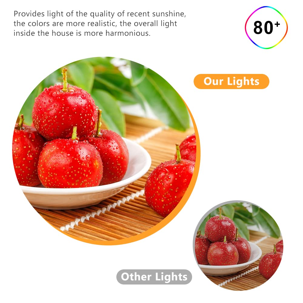 LightingWill 2 Inch LED Downlight - 3W Recessed Lighting Kit, 4000K Natural White, 6 Pack, Dimmable, Black, CRI80