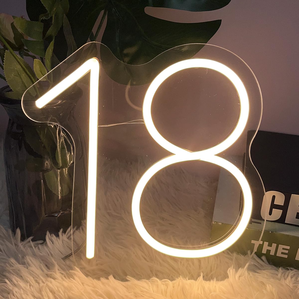 18 Year Old Neon Sign For First Birthday Party Neon Sign Custom Light Up Sign Indoor Bedroom Home Decor Led Neon Signs Large Backdrop Flex Christmas Living Room Girls Boys Gift Warm White 25?24.8 Cm
