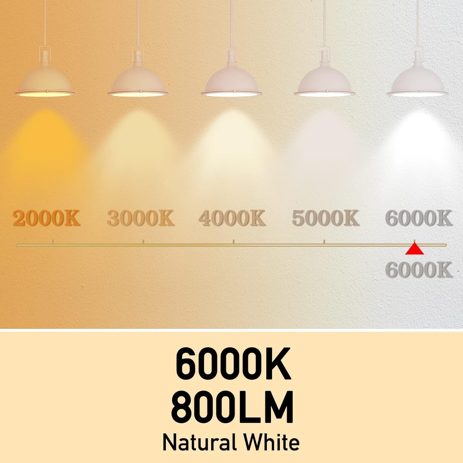 Neporal Full Spectrum Light Bulb A19, 6000K Daylight, 9W Equivalent, 6 Pack, ABS Material, E26/E27 Base